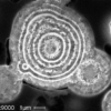 Carbonyl iron powder - Imagen 3
